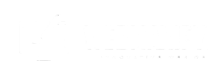 webmaxify logo